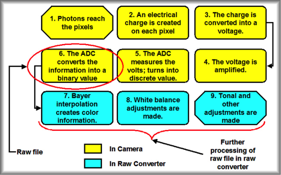 The benefits of RAW format - Sensor diagram | Architectural Photography | Architectural Photographer Berkshire